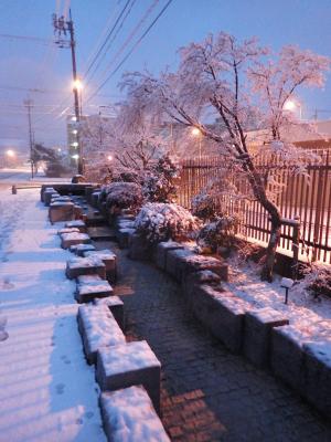 雪景色