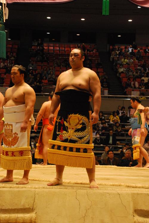 今場所の希善龍写真２