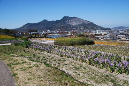 市民集いの丘公園写真１３