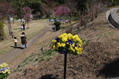 市民集いの丘公園写真１７