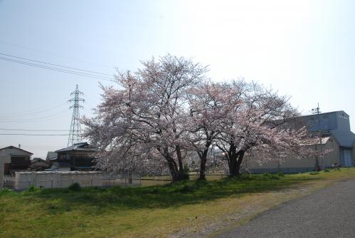 善通寺駅写真1