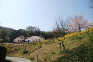 鉢伏ふれあい公園写真1