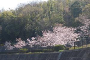 鉢伏ふれあい公園写真2