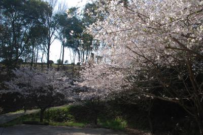 御野立公園駐車場写真1