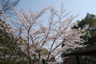 香色山公園写真1