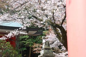 稲荷神社写真４