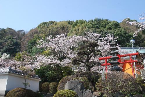 稲荷神社写真５