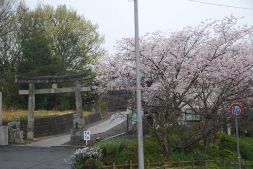 丸山八幡写真１