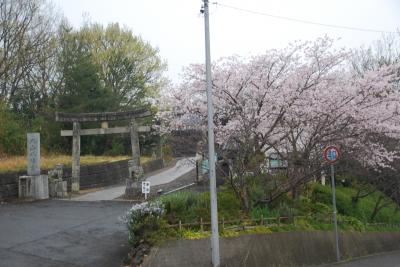 丸山八幡写真２