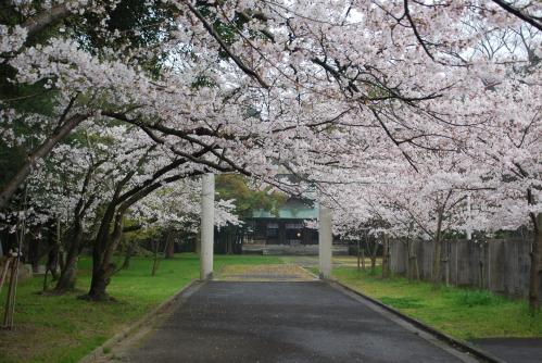 乃木神社写真