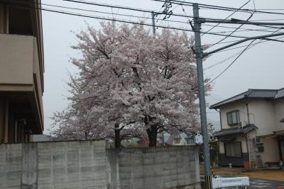 善通寺市立東中学校