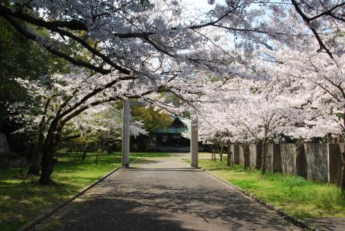 乃木神社写真1