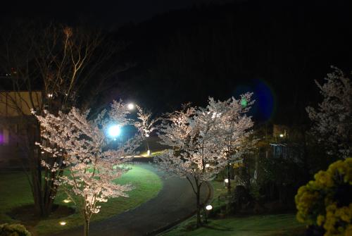 市民集いの丘公園写真２