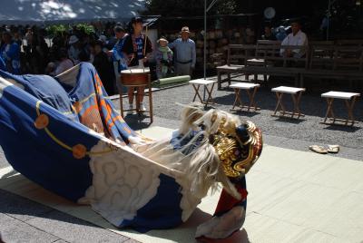 赤門筋獅子組讃岐宮春季例大祭写真2