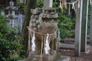 皇美屋神社狛犬その4阿形