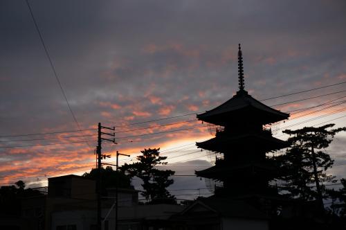 ゆうゆうロード夕景