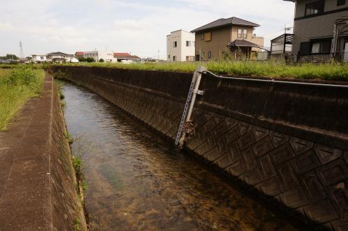 中谷川上流域確認場所