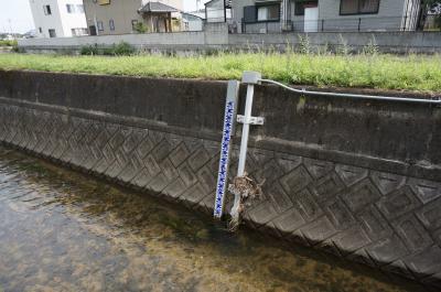 中谷川上流水位確認場所近景写真