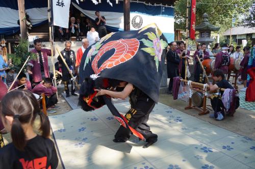 ２０1５年度弘田川東獅子組大統獅子獅子舞写真３０