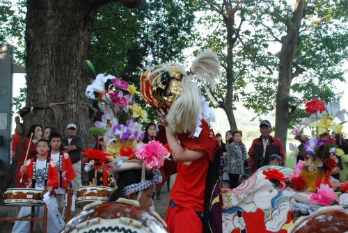 2015年度東中獅子組獅子舞写真2０