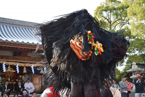 ２０1５年度東上代獅子組獅子舞写真1２