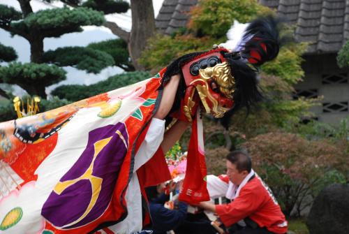 2015年丸山獅子組獅子舞写真2