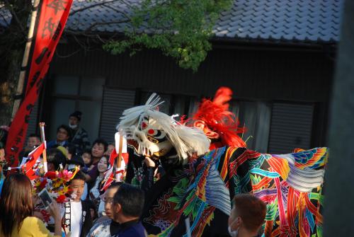 2015年上吉田東部獅子組獅子舞写真３