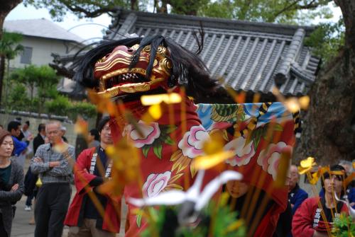 田高田獅子組獅子舞写真１６