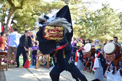 金蔵寺獅子組写真