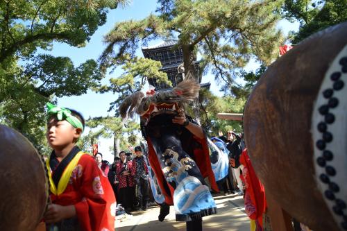 曼荼羅寺東獅子組写真