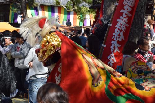 2015年度空海まつり皇子獅子組写真1