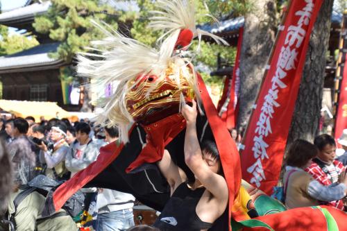 2015年度皇子獅子組獅子舞写真2