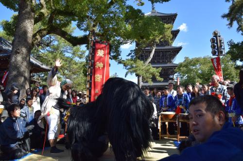 2015年五条獅子組獅子舞写真56