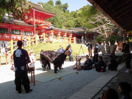 2015年奈良春日神社土居獅子組獅子舞写真5
