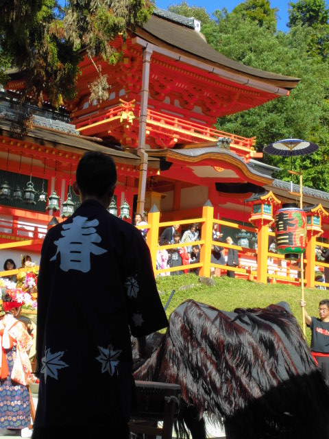 2015年奈良春日神社土居獅子組獅子舞写真10