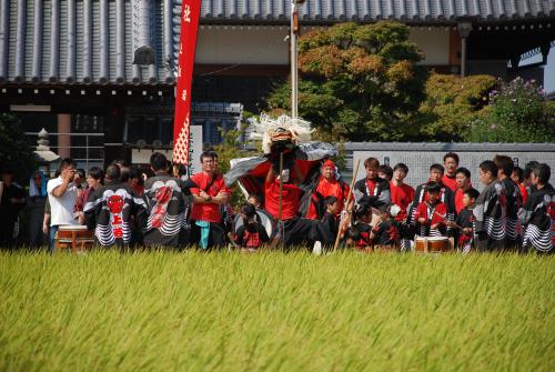 2015年弘田上組獅子舞写真1