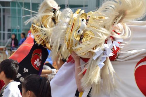 宮東獅子組写真