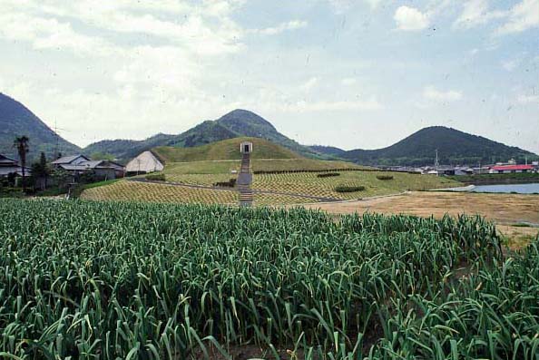 王墓山古墳（有岡古墳群）写真