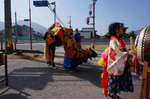 2015年曼荼羅寺下・下所獅子組獅子舞写真2３