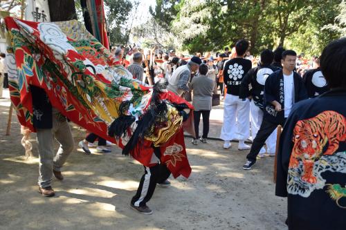 2015年三井之江獅子組獅子舞写真４