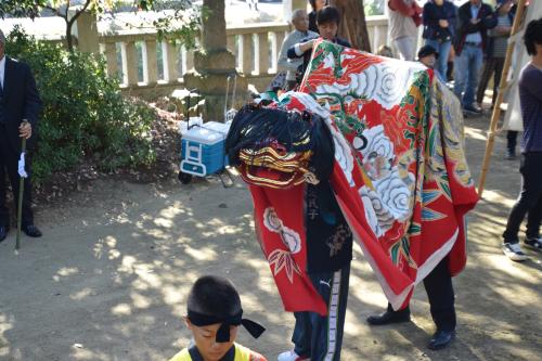 2015年三井之江獅子組獅子舞写真７