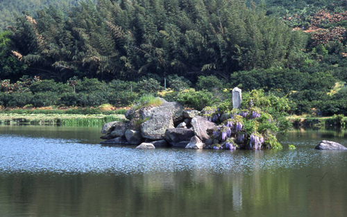 吉原椀貸塚古墳（大塚池古墳）写真