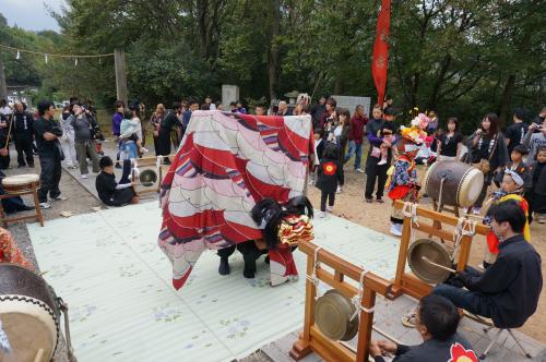 2015年財の神獅子組獅子舞写真１１