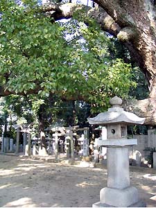 木熊野神社灯篭写真