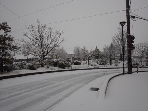 市内の雪景色５