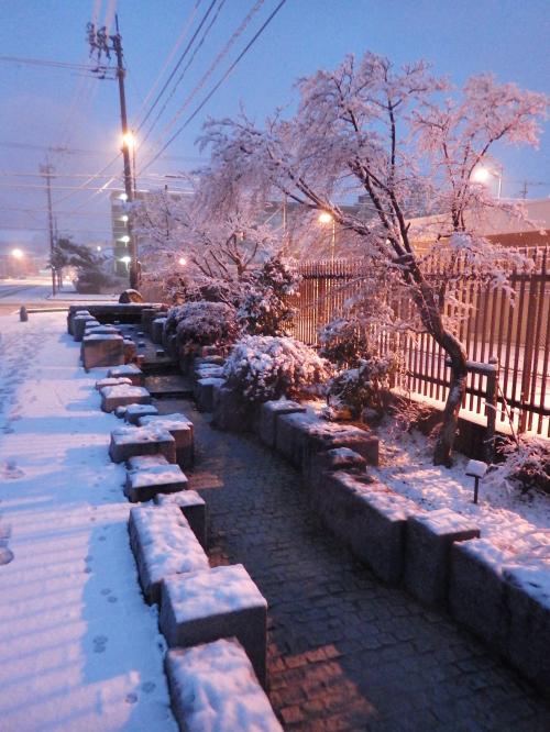 市内の雪景色７