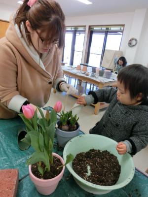 植込みの様子