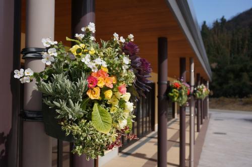 市民集いの丘公園の花の写真