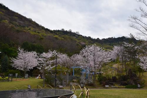 市民集いの丘公園写真１