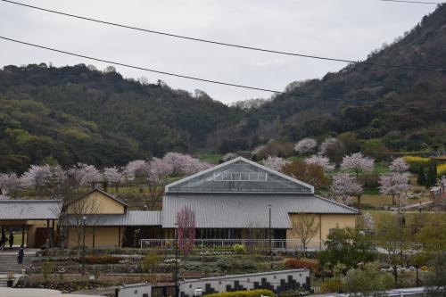 市民集いの丘公園写真２